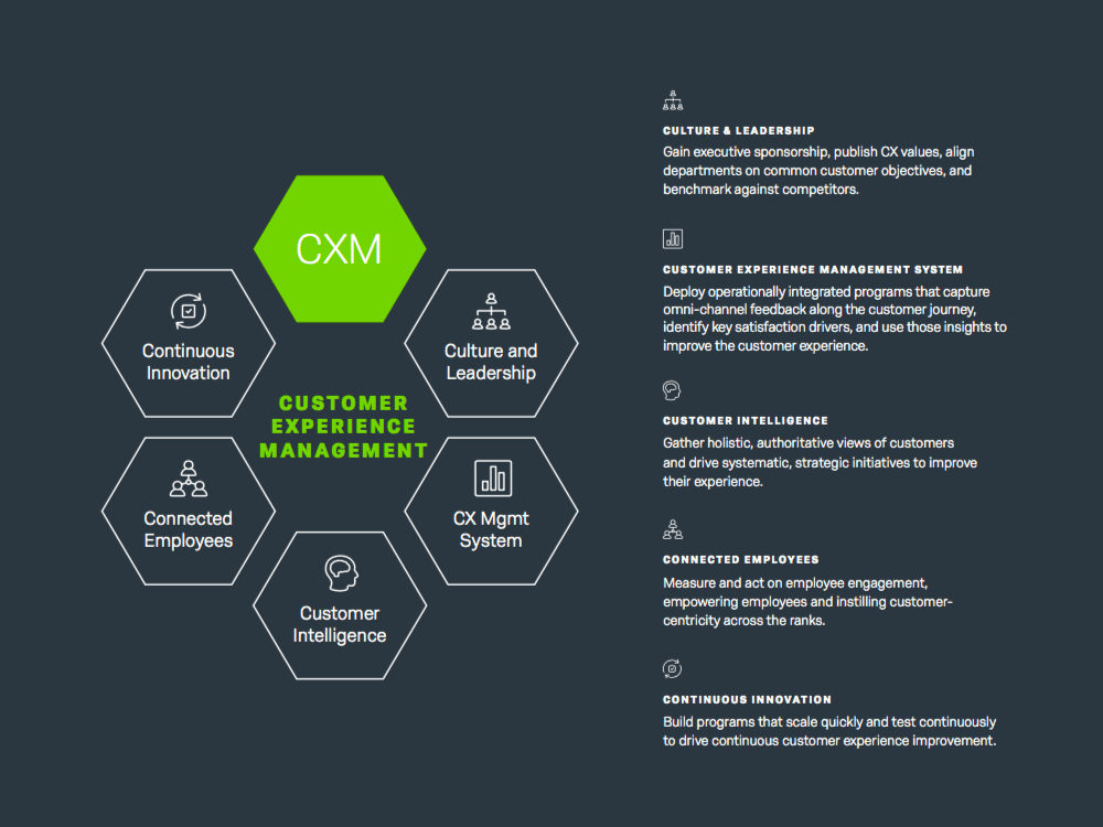 excerpt of the 5 Competencies ebook page