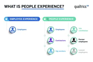 Experience