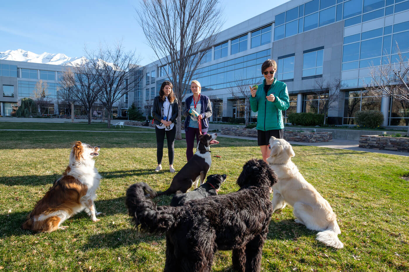 qualtrics dog friendly office