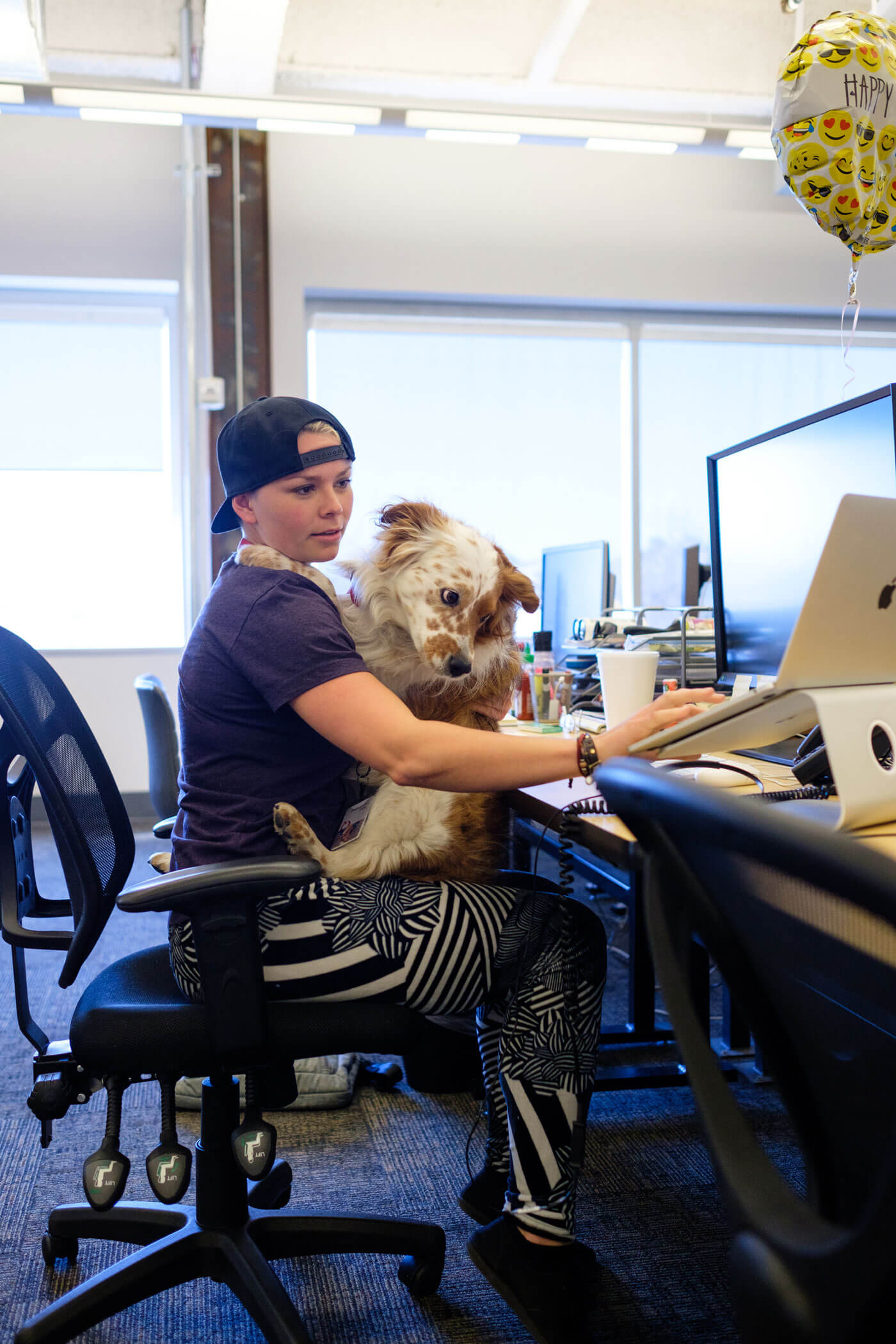 dog in the office 3