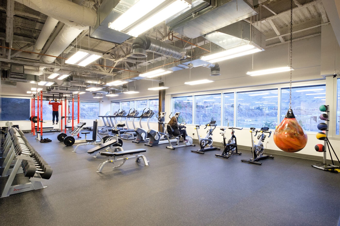 qualtrics provo office gym
