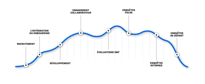 Le cycle de vie professionnel