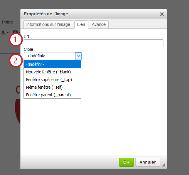 Insérer une image Qualtrics