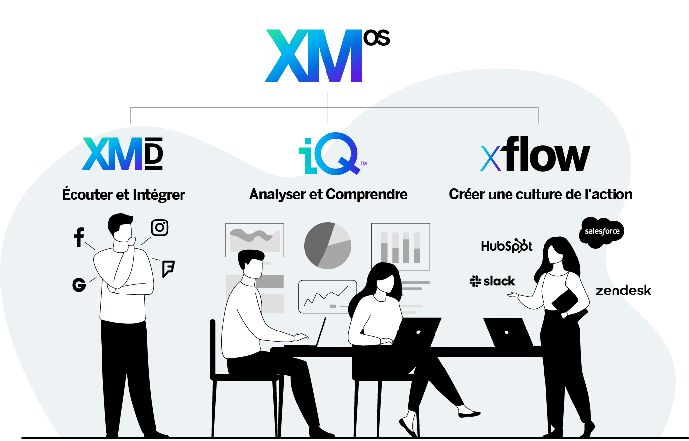 graphique XMos