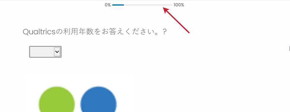 見た目と操作性の一般設定 クアルトリクス 見た目と操作性の一般設定 クアルトリクス