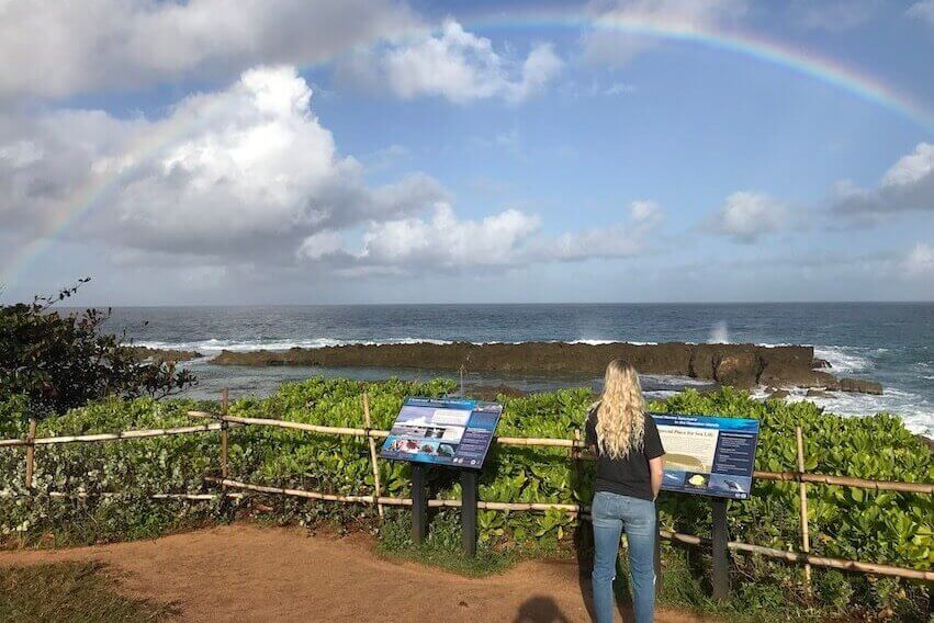 My Qualtrics Experience – Seth McGinn - Provo, UT - Qualtrics