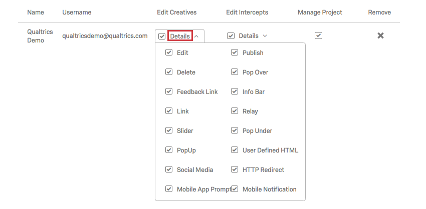 Ein Projektbenutzer und seine Berechtigungen. Unter der Spalte Creative bearbeiten werden die Details auf Bearbeiten, Veröffentlichen, Löschen und mehrere Creatives erweitert.