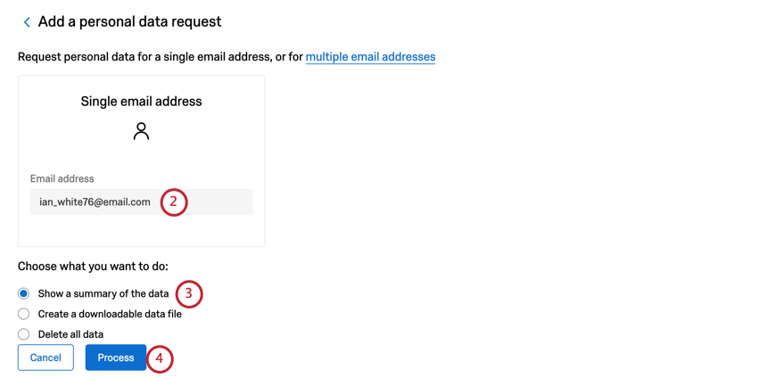 Grande case dans laquelle saisir une adresse e-mail. En dessous, choix multiple, la première option consiste à afficher un résumé. Puis deux boutons. Le bouton bleu Traiter apparaît en deuxième