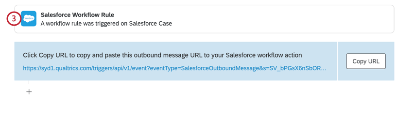 navigating to actions and clicking the salesforce workflow rule