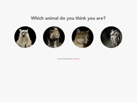 Antwortmöglichkeiten, bei denen Tierbilder als Optionen in Kreisen liegen