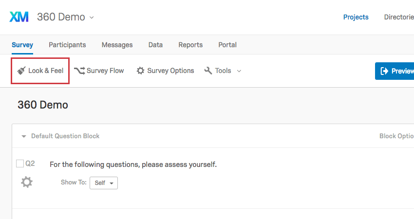 Look & Feel button in the Survey tab