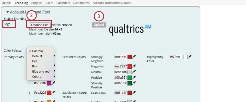 Customizing Designer Appearance - Qualtrics