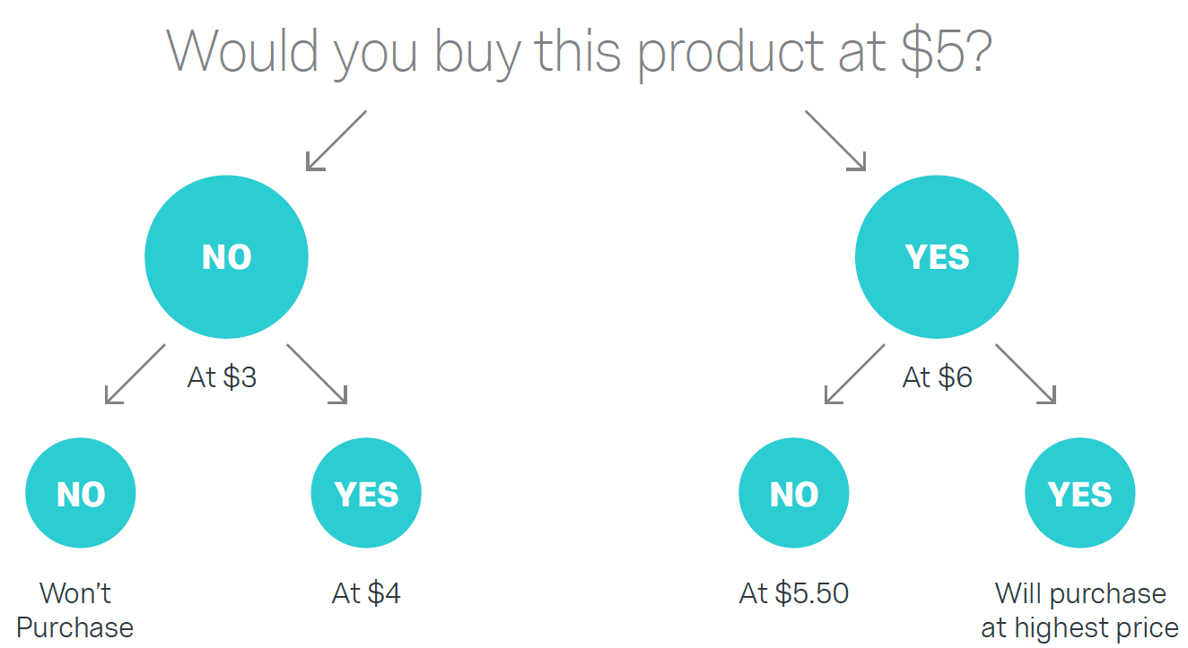 price study in business plan