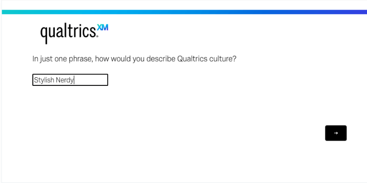 Example of a text-entry survey 