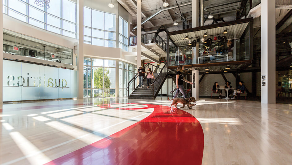 Qualtrics headquarters entrance with a person walking their dog across the Q branded basketball court