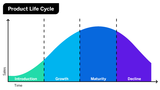 Product Life Cycles