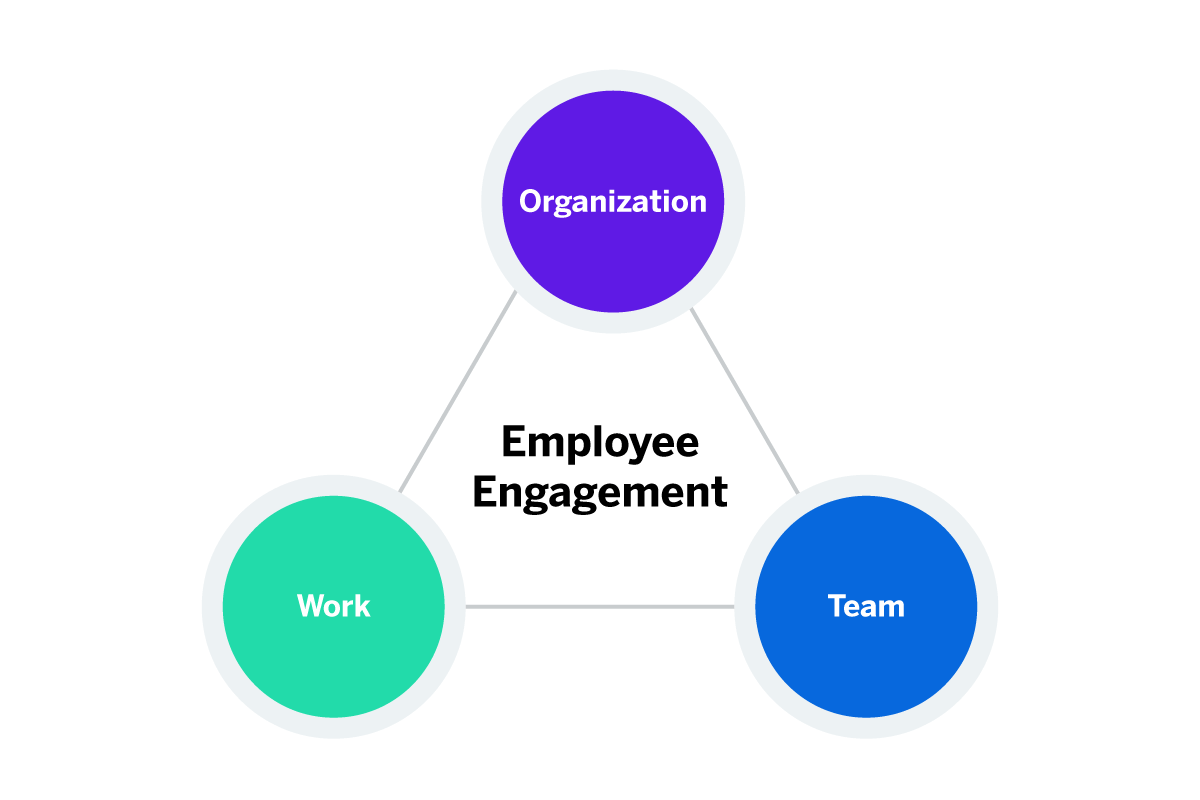 Employee engagement - organization, work and team