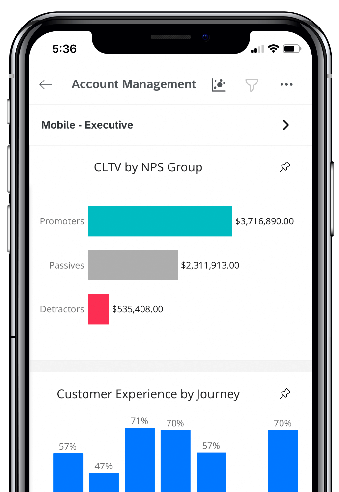 Account management dash with NPS and journey charts on mobile