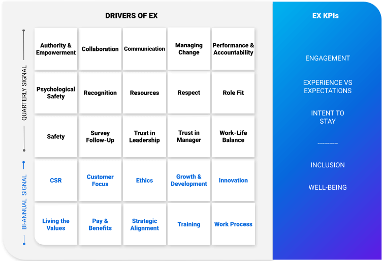 EX 25 Drivers