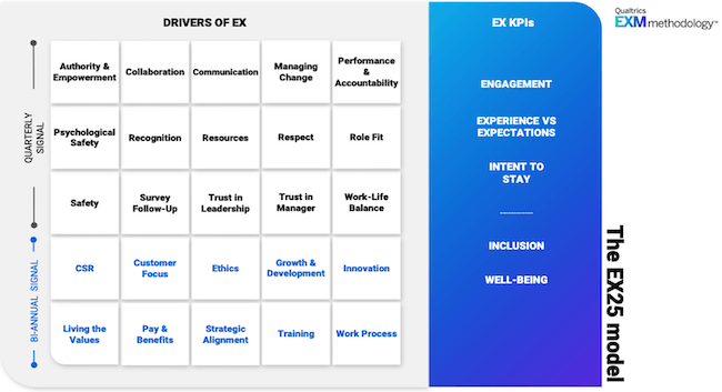 Drivers of employee experience