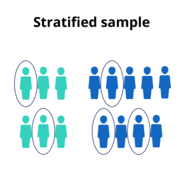 Stratified Sample Visual Example