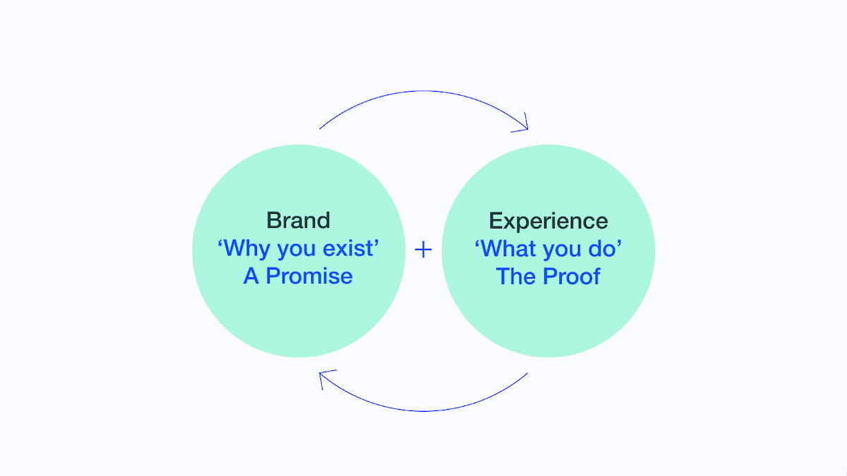 brand experience cycle