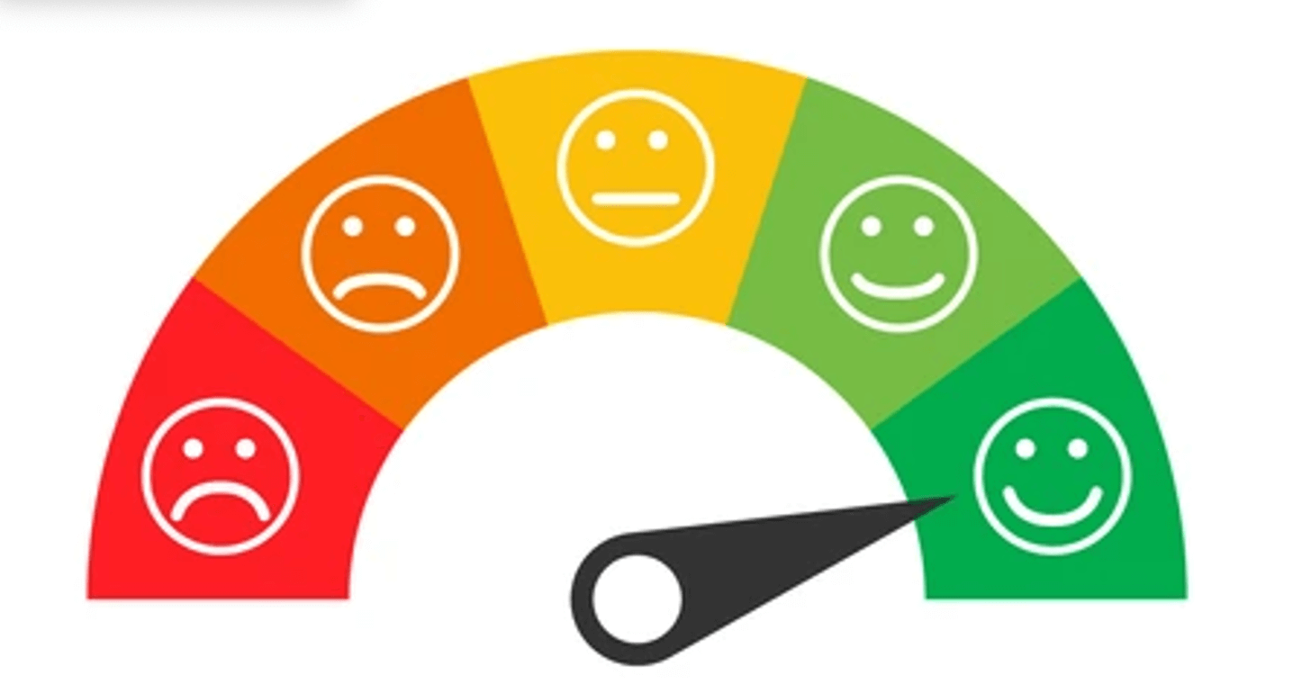 A happiness scale for surveys