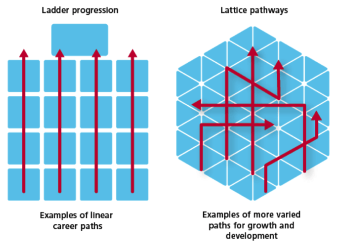 Examples of career paths