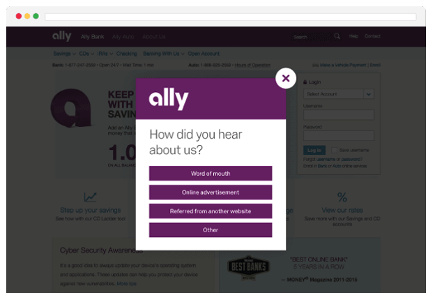 Ally screenshot of site