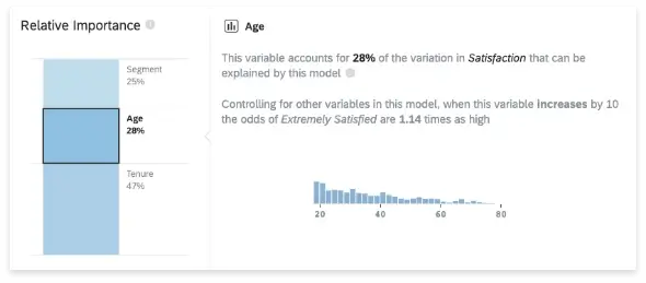 relative importance in customer insights