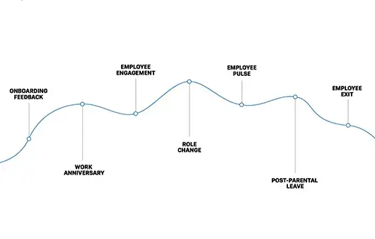 employee lifecycle