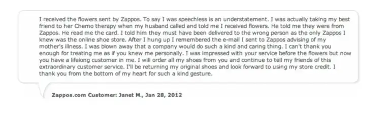 customer voice case zappos voice of the customer example