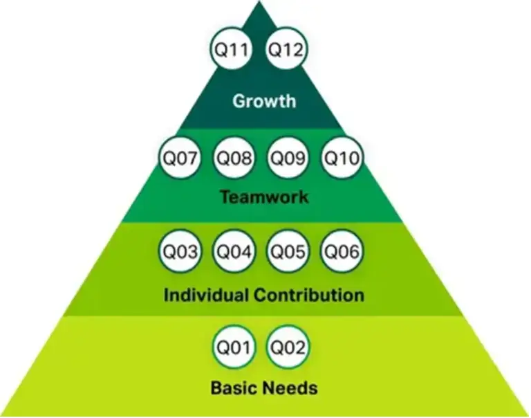 gallup four levels of engagement