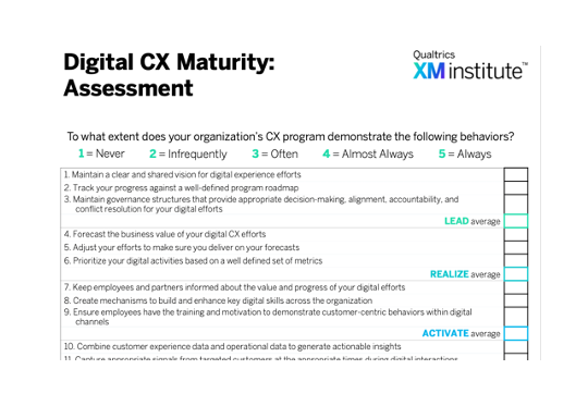 Digital CX Maturity: Assessment