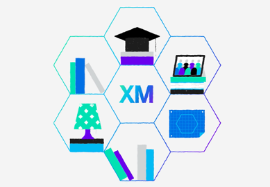 The Six XM Competencies