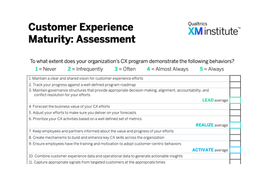 Customer Experience Maturity: Assessment