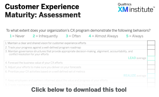 Image - CX Maturity Assessment