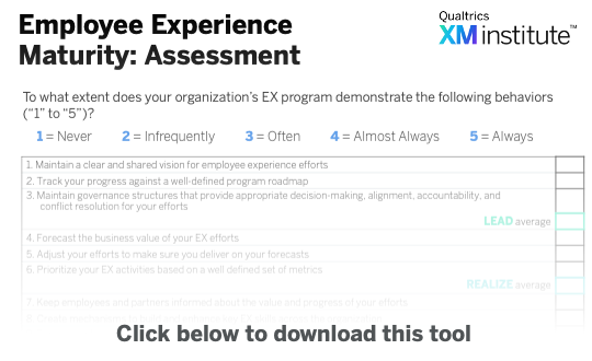Image - EX Maturity Assessment