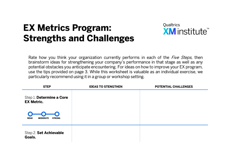 EX Metrics Program: Strengths and Challenges