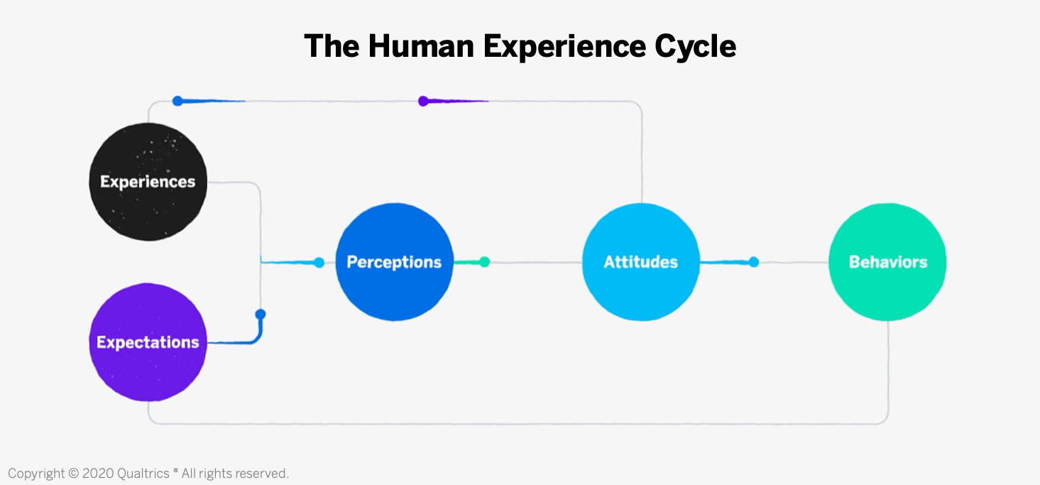 Launchpad - The Human Experience Cycle