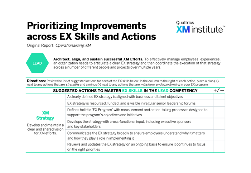 Prioritizing Improvements Across EX Skills and Actions