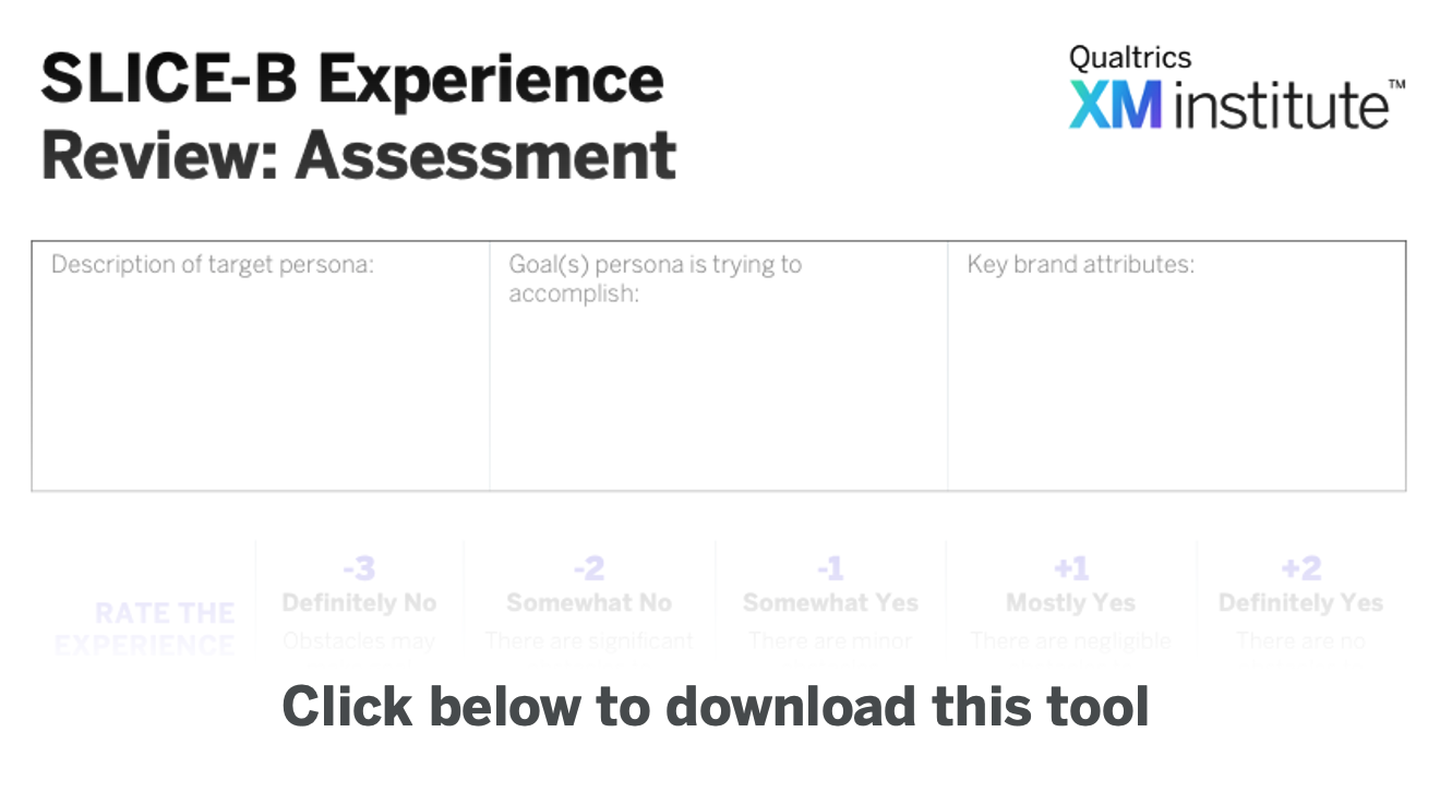 Download Image - SLICE-B Assessment