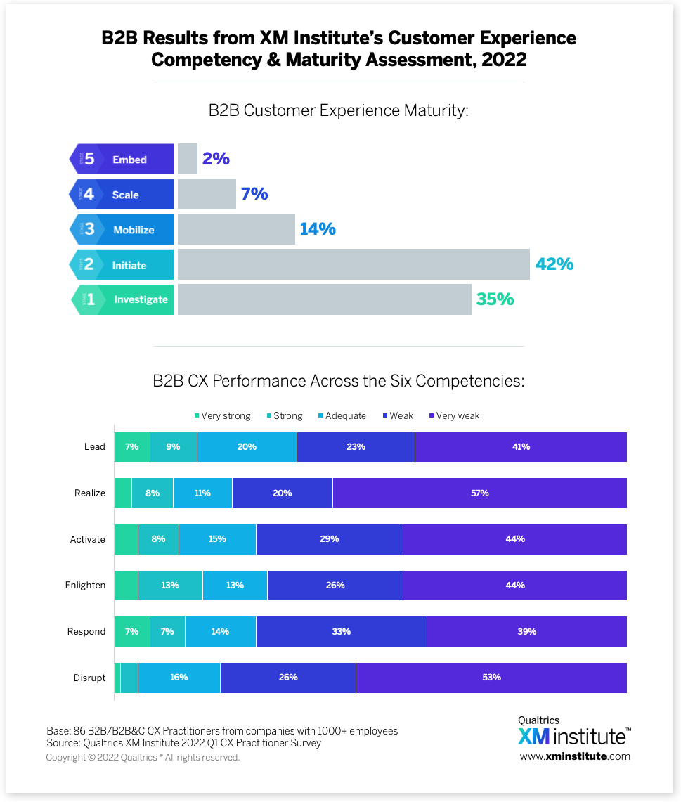 B2B CX Maturity 2022