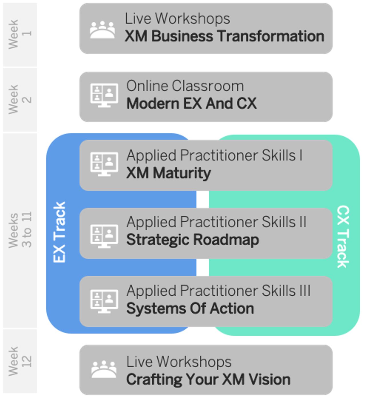 XMMasters_Curriculum