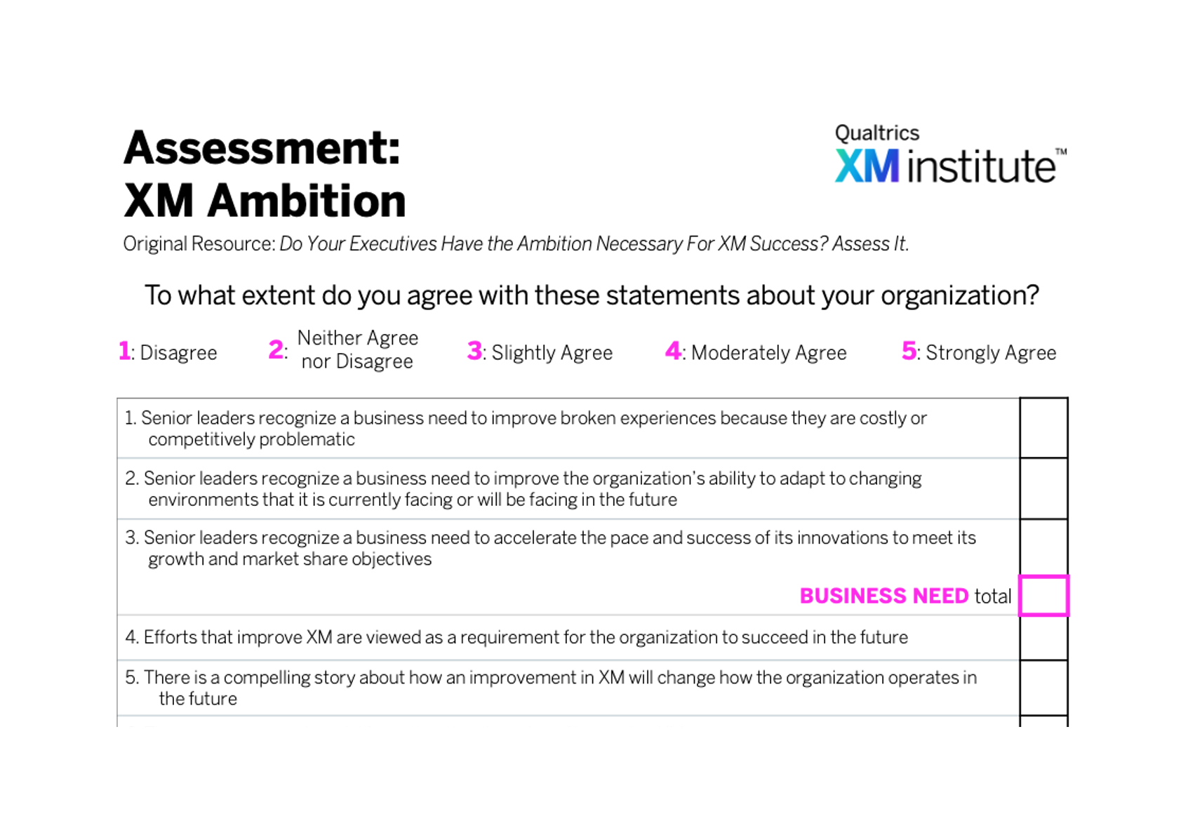 Assessment: XM Ambition