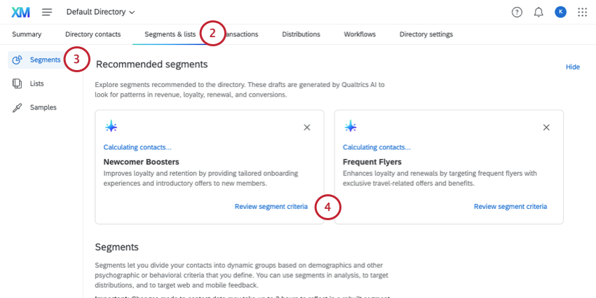 image of segments tab and the recommendations that appear at the top