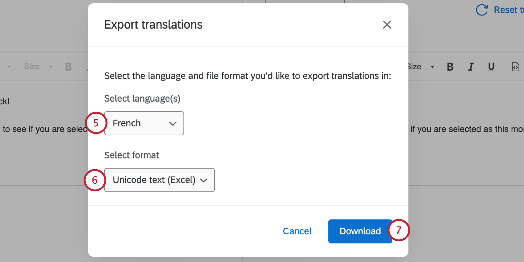choosing the languages and format for the export
