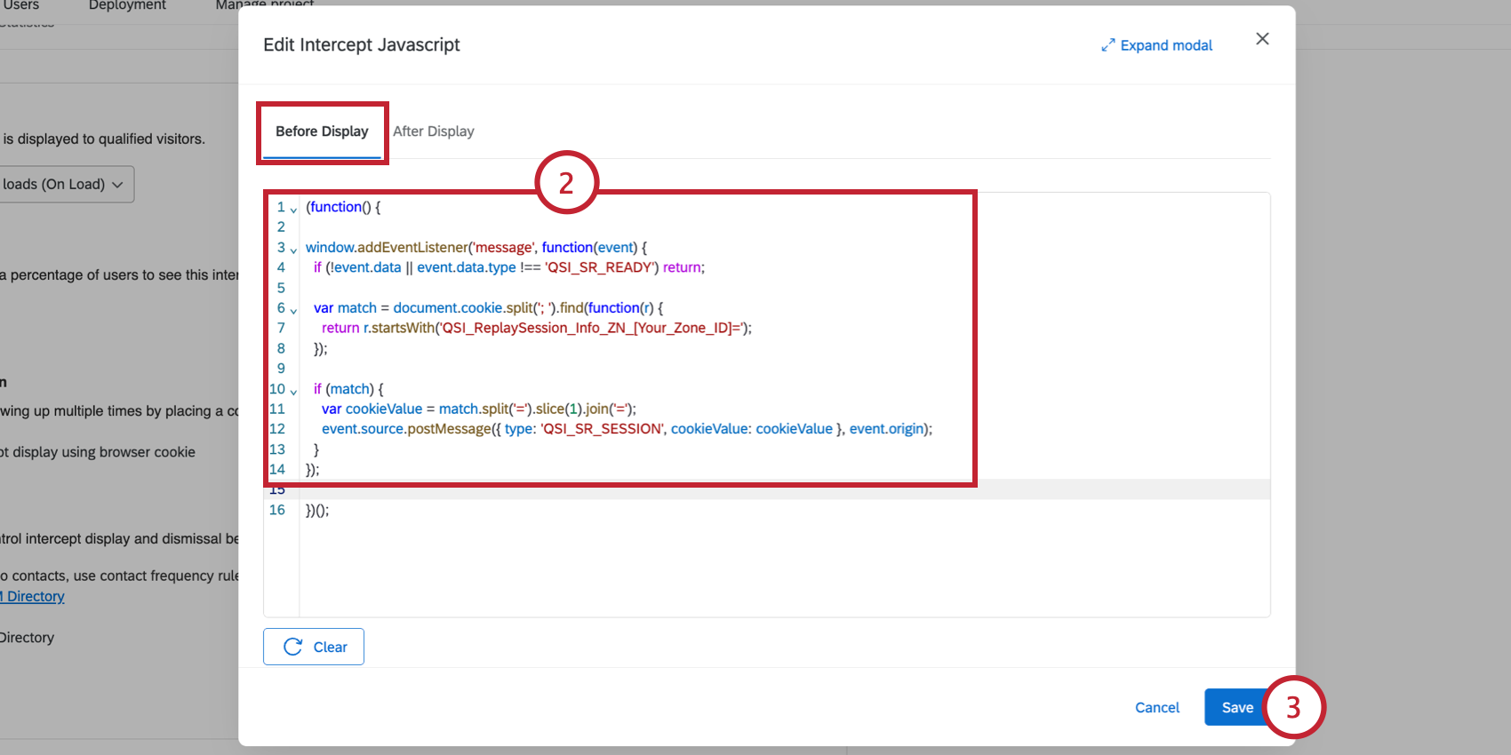 adding javascript to the intercept