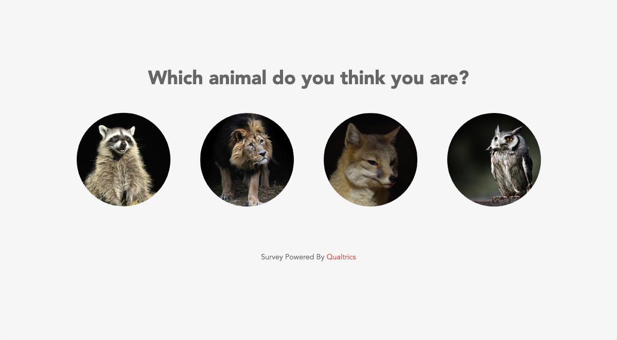 a survey asking what animal you think you are, with circle buttons showing high res photos of a raccoon, lion, fox, and owl
