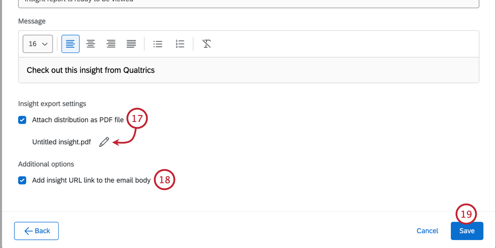 options that appear under the main email editor